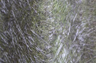 Digmoor fibreglass roof work